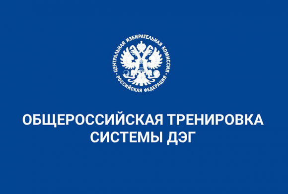 Тестирование системы дистанционного электронного голосования пройдёт на Ставрополье