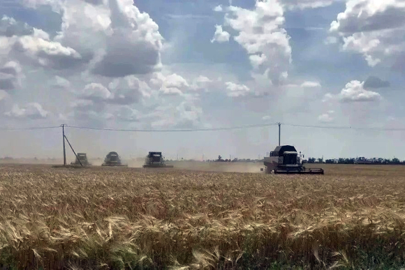 В регионе стартовала уборочная кампания