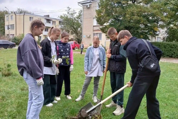 В парке «Патриот» Будённовска появятся свыше 200 новых деревьев